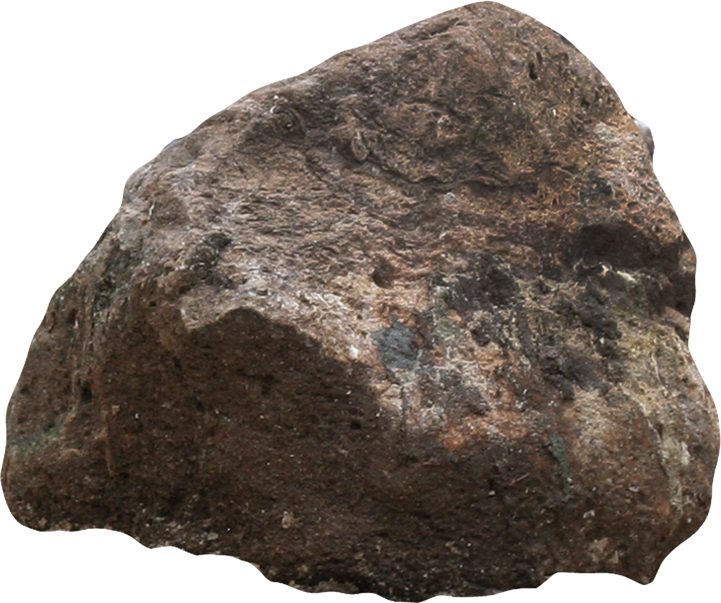 Jeffery the Rock